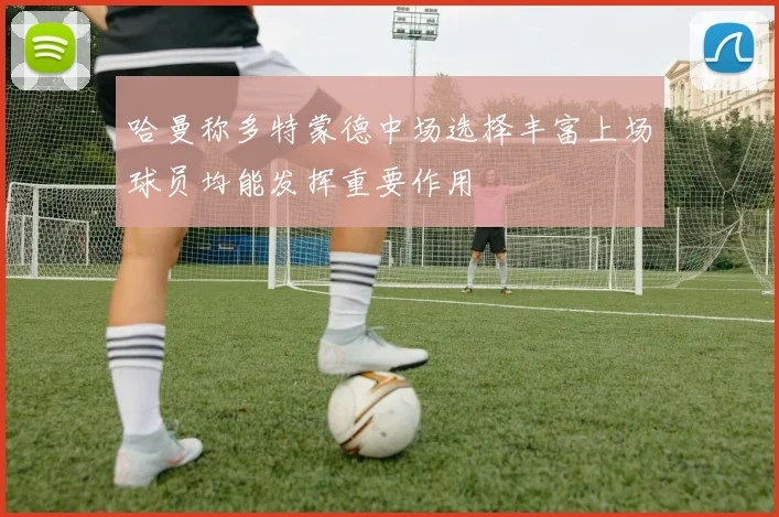 哈曼称多特蒙德中场选择丰富上场球员均能发挥重要作用