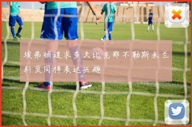 埃弗顿追求多夫比克那不勒斯米兰科莫同样表达兴趣