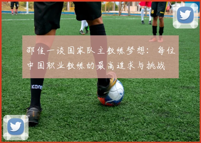 邵佳一谈国家队主教练梦想：每位中国职业教练的最高追求与挑战